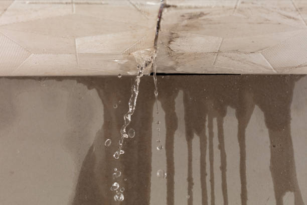 Professional Burst Pipe Cleanup technician working in East Jewett, NY
